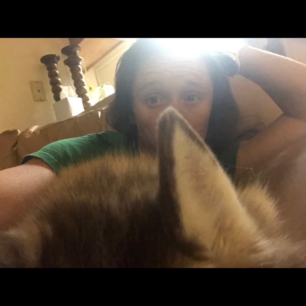 Meet your Posher, Samantha